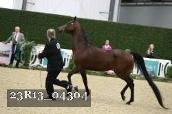 23R13_04304 thumbnail
