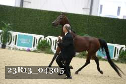 23R13_04305 thumbnail