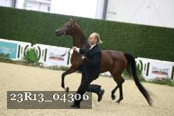 23R13_04306 thumbnail