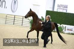 23R13_04307 thumbnail