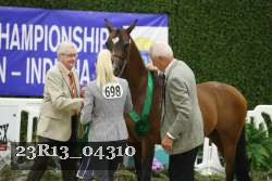 23R13_04310 thumbnail