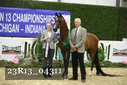 23R13_04311 thumbnail