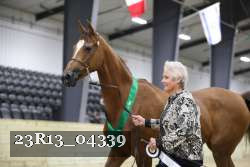 23R13_04339 thumbnail