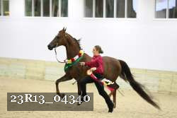 23R13_04340 thumbnail