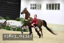 23R13_04341 thumbnail