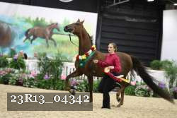 23R13_04342 thumbnail