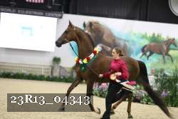 23R13_04343 thumbnail