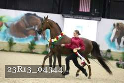 23R13_04344 thumbnail