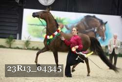 23R13_04345 thumbnail