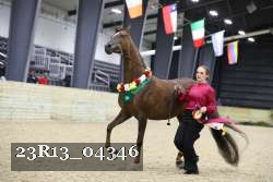 23R13_04346 thumbnail