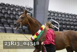 23R13_04348 thumbnail
