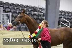 23R13_04349 thumbnail