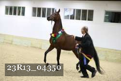 23R13_04350 thumbnail