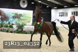 23R13_04352 thumbnail