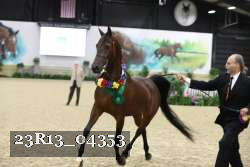 23R13_04353 thumbnail