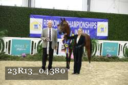 23R13_04380 thumbnail