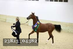 23R13_04382 thumbnail