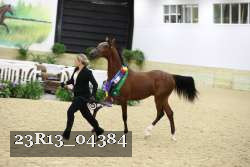 23R13_04384 thumbnail