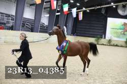 23R13_04385 thumbnail