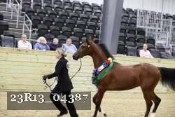 23R13_04387 thumbnail