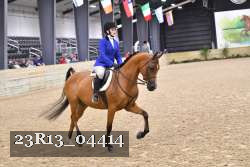 23R13_04414 thumbnail