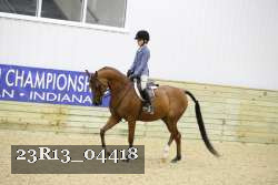 23R13_04418 thumbnail
