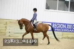23R13_04419 thumbnail