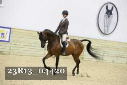 23R13_04420 thumbnail