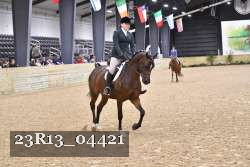 23R13_04421 thumbnail
