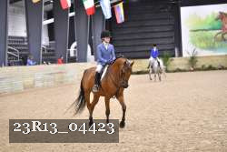 23R13_04423 thumbnail