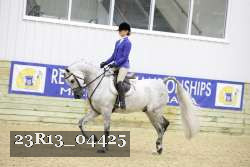 23R13_04425 thumbnail