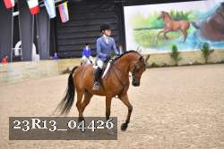 23R13_04426 thumbnail