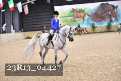 23R13_04427 thumbnail