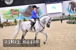 23R13_04428 thumbnail