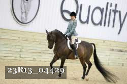 23R13_04429 thumbnail