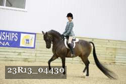 23R13_04430 thumbnail