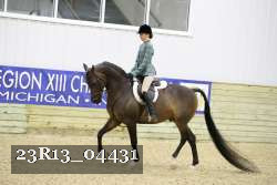 23R13_04431 thumbnail