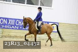 23R13_04432 thumbnail