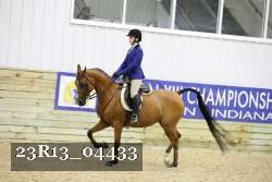 23R13_04433 thumbnail
