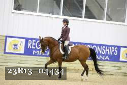 23R13_04434 thumbnail