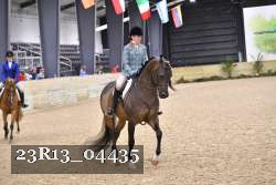 23R13_04435 thumbnail