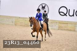 23R13_04460 thumbnail