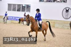 23R13_04461 thumbnail