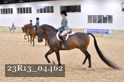 23R13_04462 thumbnail