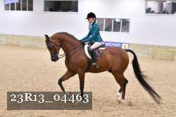 23R13_04463 thumbnail