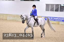 23R13_04465 thumbnail