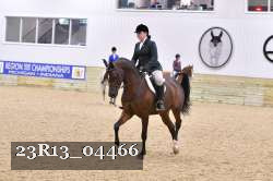23R13_04466 thumbnail
