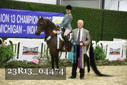 23R13_04474 thumbnail