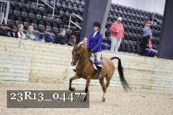 23R13_04477 thumbnail