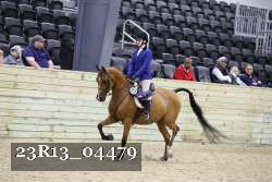 23R13_04479 thumbnail